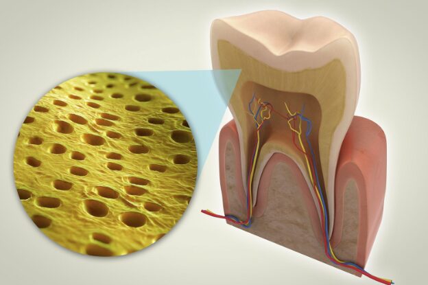 A picture of root canal